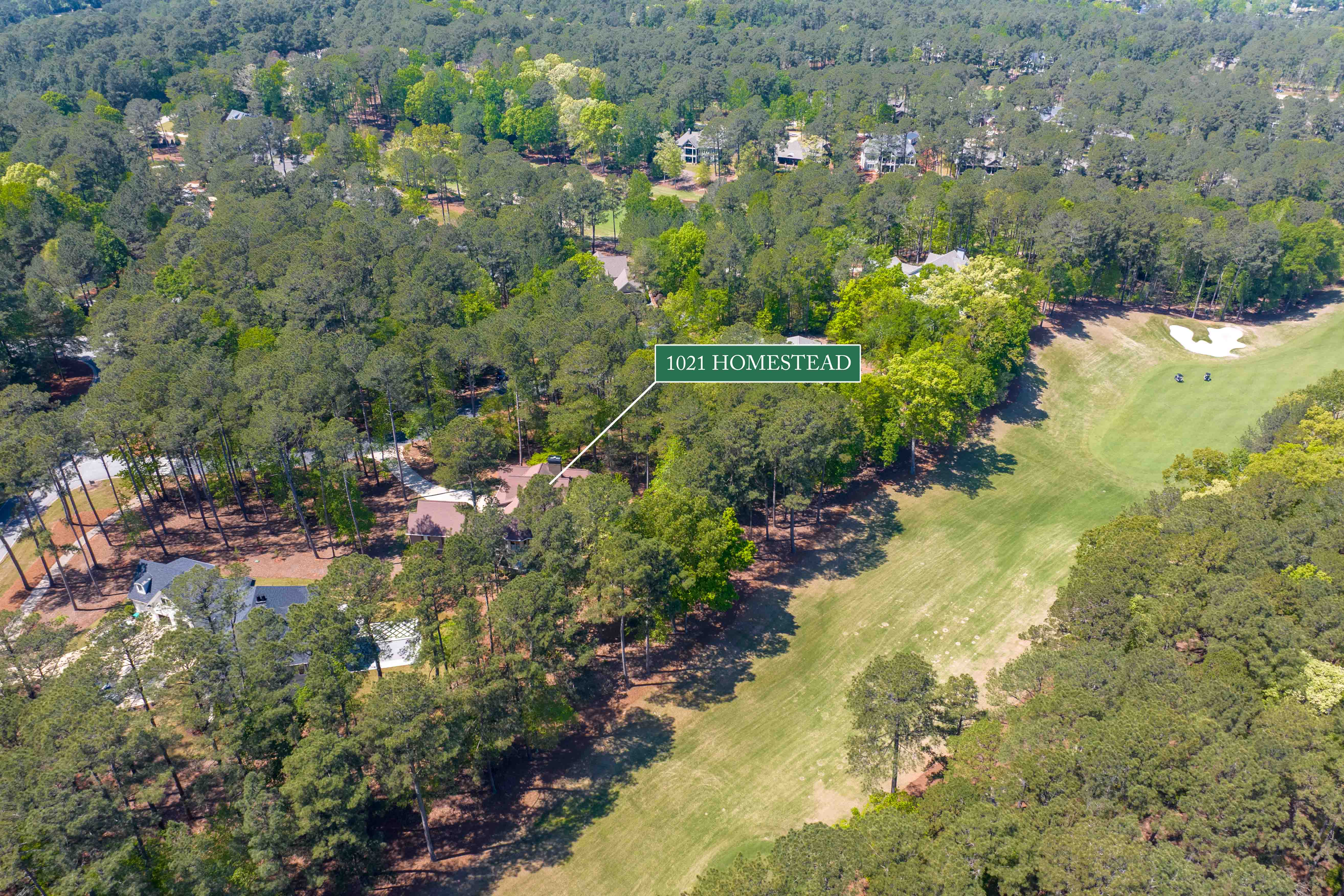 1021 Homestead image 41